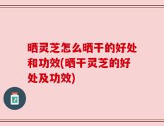 晒灵芝怎么晒干的好处和功效(晒干灵芝的好处及功效)