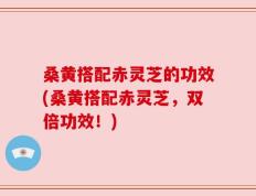 桑黄搭配赤灵芝的功效(桑黄搭配赤灵芝，双倍功效！)