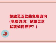 楚雄灵芝盆栽免费咨询(免费咨询：楚雄灵芝盆栽如何养护？)