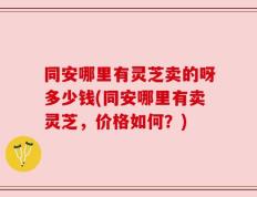 同安哪里有灵芝卖的呀多少钱(同安哪里有卖灵芝，价格如何？)