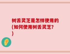 树舌灵芝是怎样使用的(如何使用树舌灵芝？)