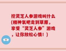 挖灵芝人参游戏叫什么(精神氧吧走到草原，享受“灵芝人参”游戏，让你放松心情！)