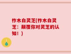 柞木白灵芝(柞木白灵芝：颠覆你对灵芝的认知！)