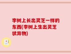 李树上长出灵芝一样的东西(李树上生出灵芝状异物)