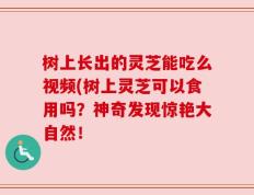 树上长出的灵芝能吃么视频(树上灵芝可以食用吗？神奇发现惊艳大自然！
