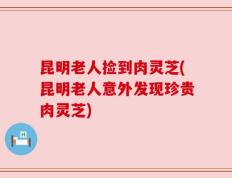 昆明老人捡到肉灵芝(昆明老人意外发现珍贵肉灵芝)