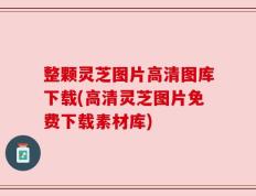整颗灵芝图片高清图库下载(高清灵芝图片免费下载素材库)