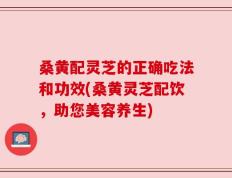 桑黄配灵芝的正确吃法和功效(桑黄灵芝配饮，助您美容养生)
