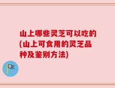 山上哪些灵芝可以吃的(山上可食用的灵芝品种及鉴别方法)