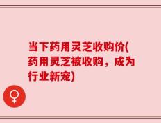 当下药用灵芝收购价(药用灵芝被收购，成为行业新宠)