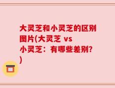 大灵芝和小灵芝的区别图片(大灵芝 vs 小灵芝：有哪些差别？)