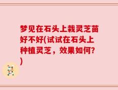 梦见在石头上栽灵芝苗好不好(试试在石头上种植灵芝，效果如何？)
