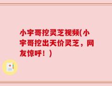 小宇哥挖灵芝视频(小宇哥挖出天价灵芝，网友惊呼！)