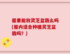屋里能放灵芝盆栽么吗(屋内适合种植灵芝盆栽吗？)