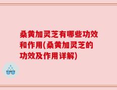 桑黄加灵芝有哪些功效和作用(桑黄加灵芝的功效及作用详解)