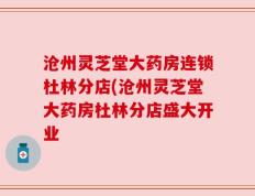 沧州灵芝堂大药房连锁杜林分店(沧州灵芝堂大药房杜林分店盛大开业