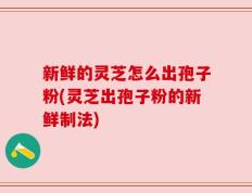 新鲜的灵芝怎么出孢子粉(灵芝出孢子粉的新鲜制法)