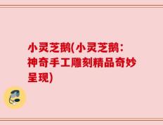 小灵芝鹅(小灵芝鹅：神奇手工雕刻精品奇妙呈现)