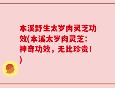 本溪野生太岁肉灵芝功效(本溪太岁肉灵芝：神奇功效，无比珍贵！)