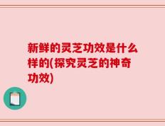 新鲜的灵芝功效是什么样的(探究灵芝的神奇功效)