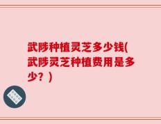 武陟种植灵芝多少钱(武陟灵芝种植费用是多少？)