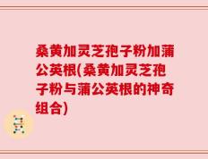 桑黄加灵芝孢子粉加蒲公英根(桑黄加灵芝孢子粉与蒲公英根的神奇组合)