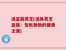 活盆栽灵芝(活体灵芝盆栽：生机勃勃的健康之源)