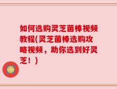如何选购灵芝菌棒视频教程(灵芝菌棒选购攻略视频，助你选到好灵芝！)
