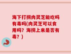 海下打捞肉灵芝能吃吗有毒吗(肉灵芝可以食用吗？海捞上来是否有毒？)