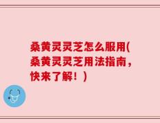 桑黄灵灵芝怎么服用(桑黄灵灵芝用法指南，快来了解！)