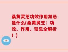 桑黄灵芝功效作用禁忌是什么(桑黄灵芝：功效、作用、禁忌全解析！)
