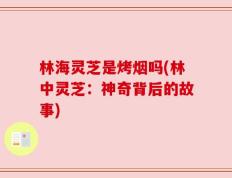 林海灵芝是烤烟吗(林中灵芝：神奇背后的故事)