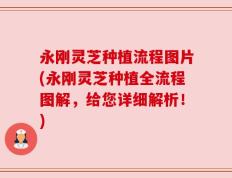 永刚灵芝种植流程图片(永刚灵芝种植全流程图解，给您详细解析！)