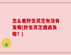 怎么看野生灵芝有没有发霉(野生灵芝遭遇发霉？)