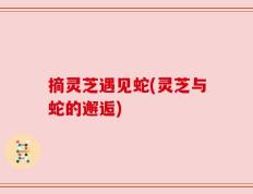 摘灵芝遇见蛇(灵芝与蛇的邂逅)