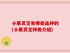 小黑灵芝有哪些品种的(小黑灵芝种类介绍)