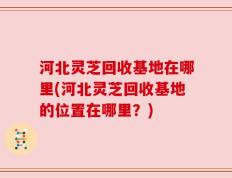 河北灵芝回收基地在哪里(河北灵芝回收基地的位置在哪里？)