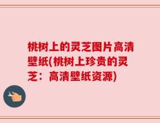 桃树上的灵芝图片高清壁纸(桃树上珍贵的灵芝：高清壁纸资源)