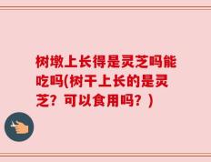 树墩上长得是灵芝吗能吃吗(树干上长的是灵芝？可以食用吗？)