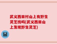 武义西田村山上有野生灵芝找吗(武义西田山上发现野生灵芝)