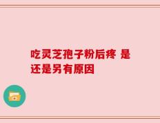吃灵芝孢子粉后疼 是还是另有原因