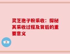 灵芝孢子粉采收：探秘其采收过程及背后的重要意义