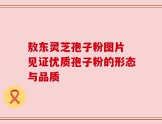 敖东灵芝孢子粉图片 见证优质孢子粉的形态与品质