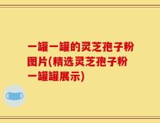 一罐一罐的灵芝孢子粉图片(精选灵芝孢子粉一罐罐展示)