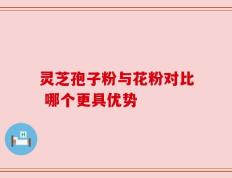 灵芝孢子粉与花粉对比 哪个更具优势