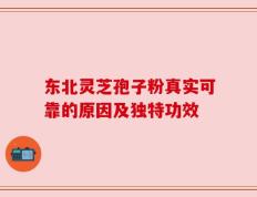 东北灵芝孢子粉真实可靠的原因及独特功效