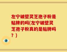 左宁破壁灵芝孢子粉是贴牌的吗(左宁破壁灵芝孢子粉真的是贴牌吗？)