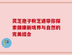 灵芝孢子粉芝遇带你探索健康新境界与自然的完美结合