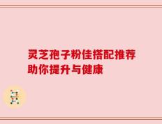 灵芝孢子粉佳搭配推荐助你提升与健康
