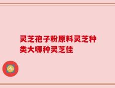 灵芝孢子粉原料灵芝种类大哪种灵芝佳